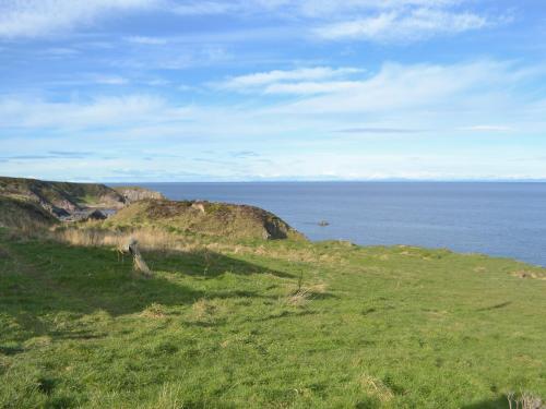 Viesnīcas āriene, Dolphin View - Uk30689 in Portknockie