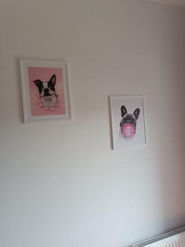 Apartament Kwiatowa