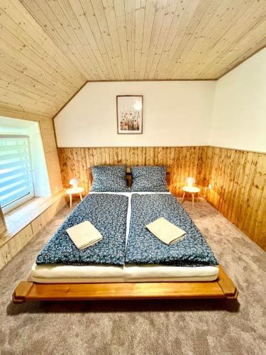 Na Mlejne in Borovna