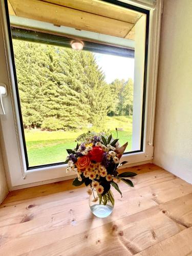 Na Mlejne in Borovna