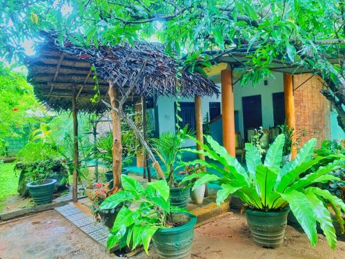 Sigiri Dilu Villa - Trincomalee Sigiri Dilu Villa - Trincomalee
