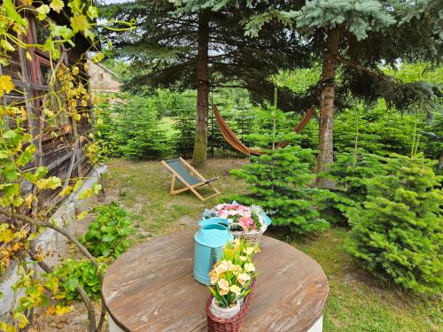 Sielski Dom I Sauna i Jacuzzi dodatkowo płatna opcja