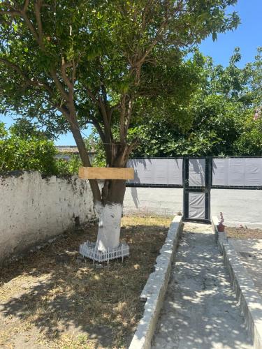 Orange Grove Apartment, Napoli (foto 3)