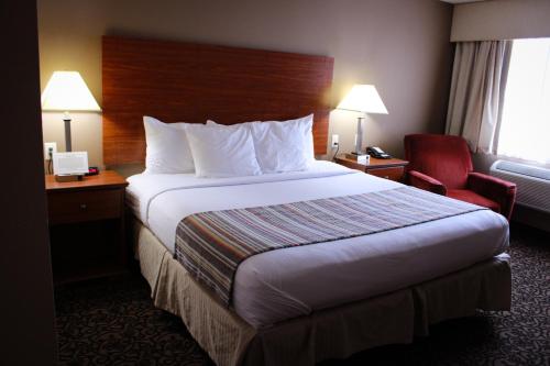 1 king bed