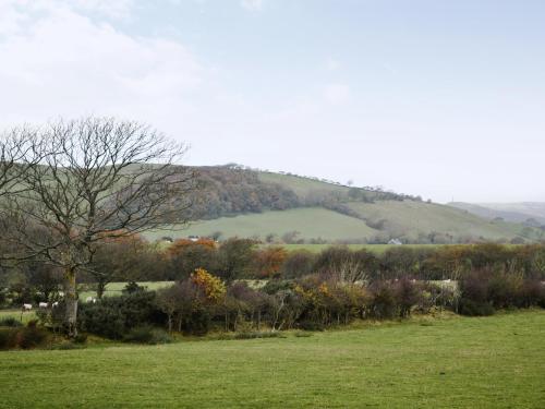 Viesnīcas āriene, Bryncrwn Cottage in Blaenplwyf