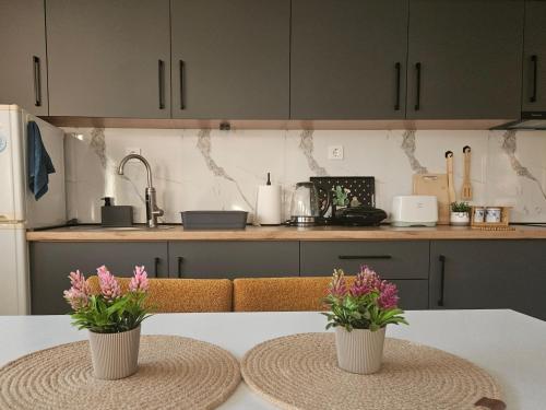 ,,Villa Vera" Peshtani in Peshtani