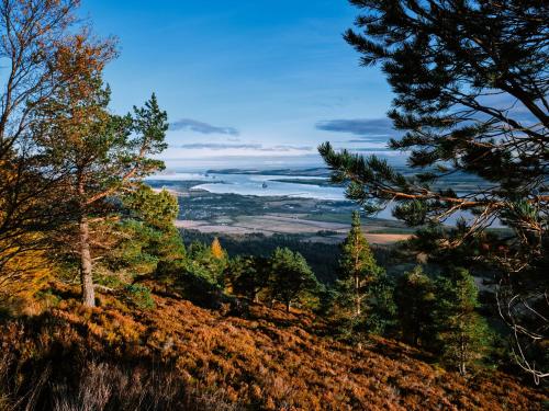 A szálláshely kívülről, The Dalmore Pod in Alness