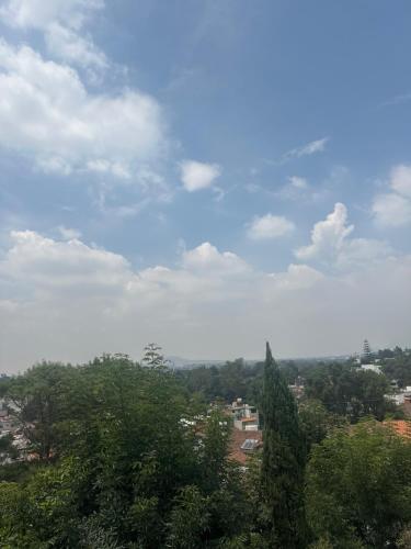 Chalet CDMX, Cedro (fotografie 3)