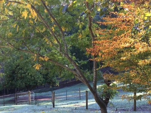 ブレントウッド アコモディション ヒールズヴィル