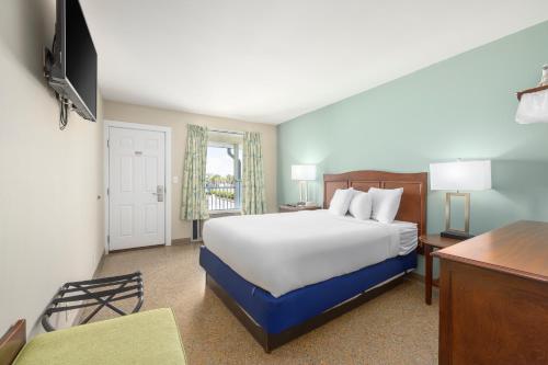 Bikini Beach Resort - image 14