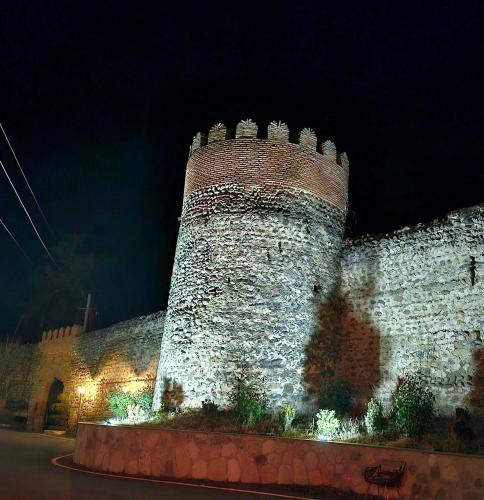 . Sighnaghi Hotel Fence Door&Сигнахи Отель Ворота Крепости&სიღნაღი სასტუმრო გალავნის კარი