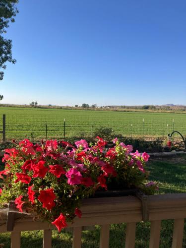 Kathys Bed and Breakfast in Socorro
