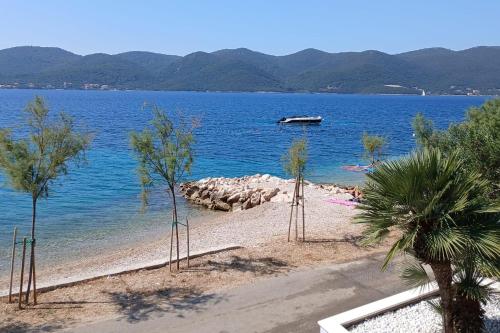 Apartments by the sea Viganj Peljesac - 15341 - image 6