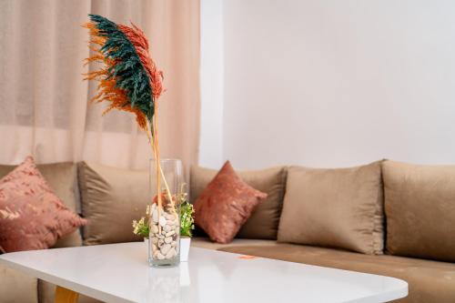 appartement a centre agadir