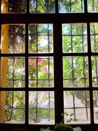 Casa Ramirez - Guest House in Sucre