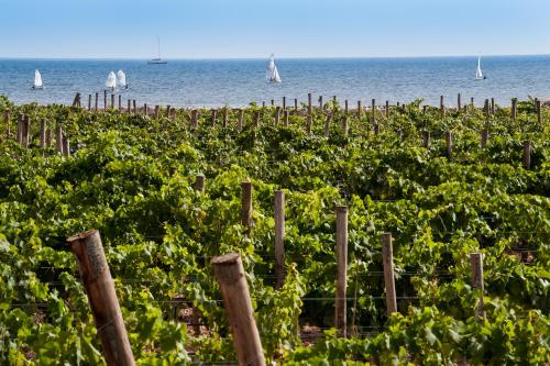 Firriato Hospitality - Calamoni di Favignana Apartments - image 5