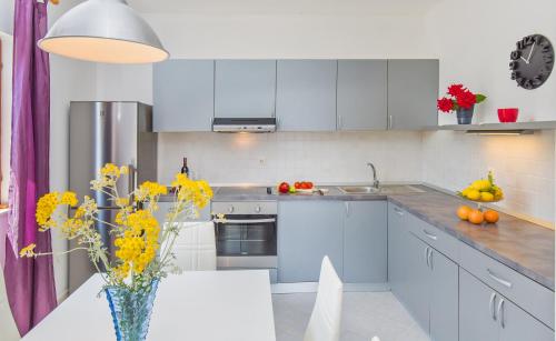 廚房, 魯雅克公寓 (Apartment Lujak) in 克羅策普