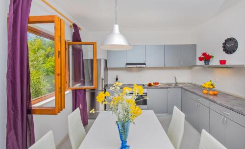 廚房, 魯雅克公寓 (Apartment Lujak) in 克羅策普