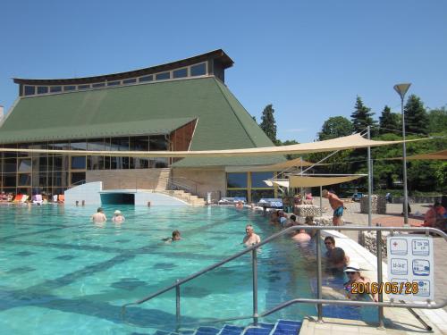 Swimming pool, Gyongyvirag Udulo – Mario Apartman in Harkany