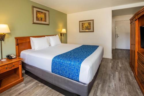 1 queen bed
