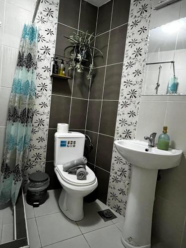 Renovated Calm Apartment Close to Center and Free Parking, Skopje (photo 10)