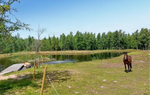 Viesnīcas āriene, 1 Bedroom Gorgeous Home In Ryssby in Agunnaryd