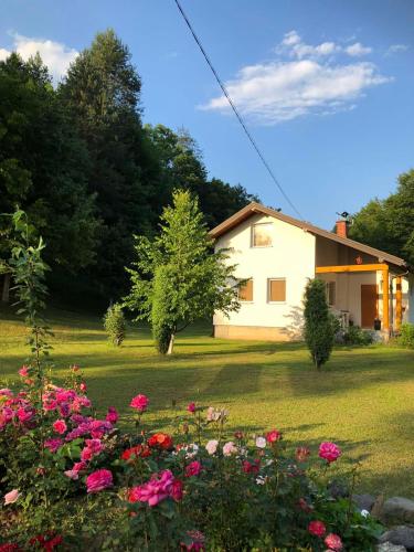 Palučak 30 (Palucak 30) in Prokosovići