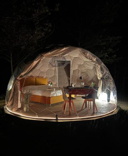 Bubble Room Experience in Casteldelci