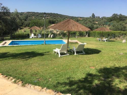 2 bedrooms, 5 beds