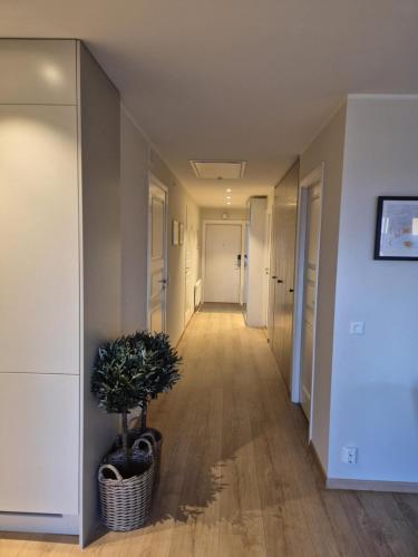 Cosy apartment with fjord-view in Holmlia