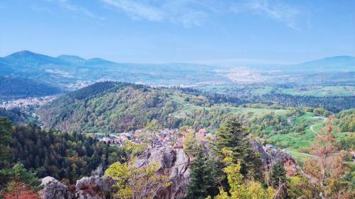 Ferienwohnung Merkurpanorama in Gernsbach