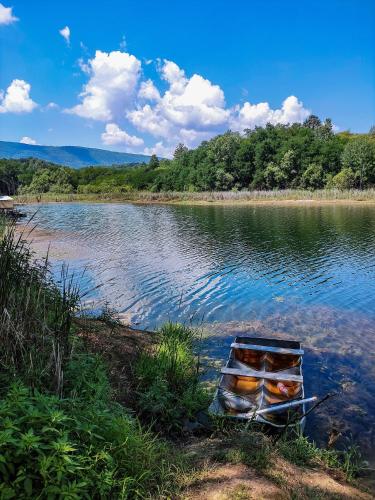 Brvnara Dadi in Dimitrovgrad