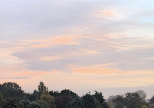 Cozy garden facing room in Sutton Coldfield