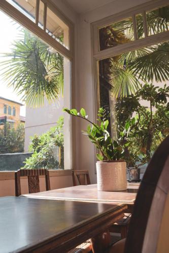 Hôtel Belle Meunière, Nice (fotografie 7)