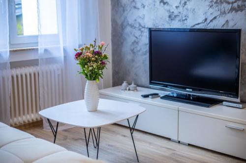 Közös társalgó / TV, Sixtn Apartments Bühlertal (Sixtn Apartments Buhlertal) in Buhlertal
