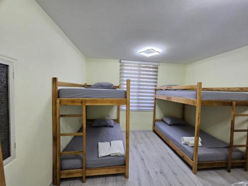 Lemon House, Tirana (Foto 3)