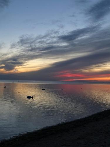 Pelēkzirņa Apartamenti (Pelekzirna Apartamenti) in Ainazi