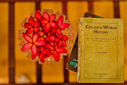 Devonia House - Galle, Galle (foto 2)