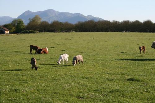 Gite Vercors-Chambaran