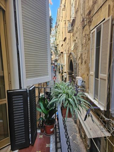 Niloufar residence Napoli, Neapel (Foto 10)