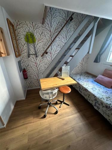 Petit Duplex Centre Ville, Strasbourg (photo 7)