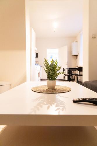 Appartement sous toit lumineux avec garage et 4 pièces en enfilade, Брюссель (фото 9)
