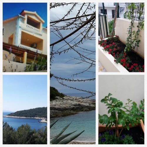  Apartments Punta Milna in Hvar