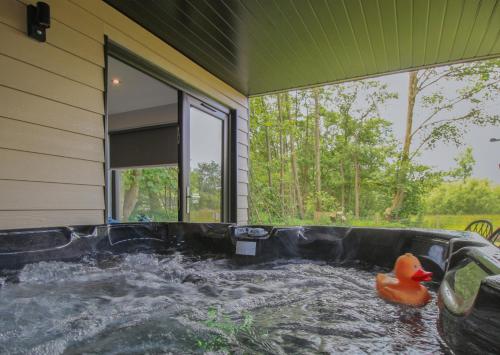 Навколишнє середовище, River Logie Lodges in Armadale