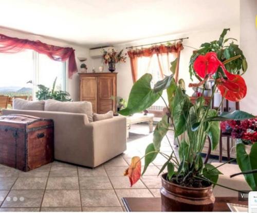 Villa tasche-vecchio gîte à louer Mucchitone