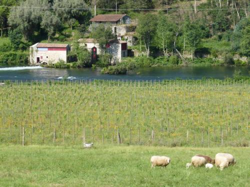 Quinta do Burgo - Nature Hotel