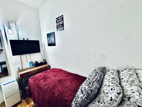 Super Cozy Room for Single person Who Cares about Location, New York (photo 4)
