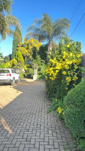 Artzy's Studio - 1km to Olivedale Clinic