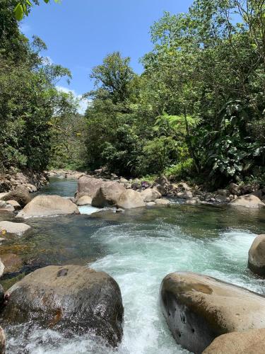 Attractions, Precious Jungle, a seulement 5 min de Destreland in Baie-Mahault