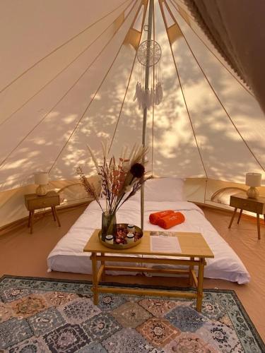 Jaskółkowo Glamping